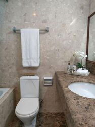 Meralodge (D23), Condominium #557399651